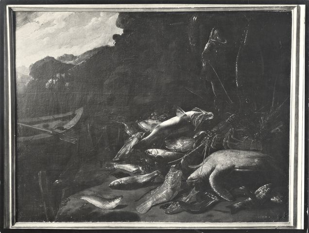 Anonimo — Recco Giuseppe - sec. XVII - Natura morta con pesci e tartaruga — insieme